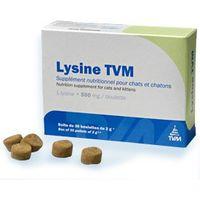 Lysine - Coryza - Herpès virus félin - 30 boulettes - TVM